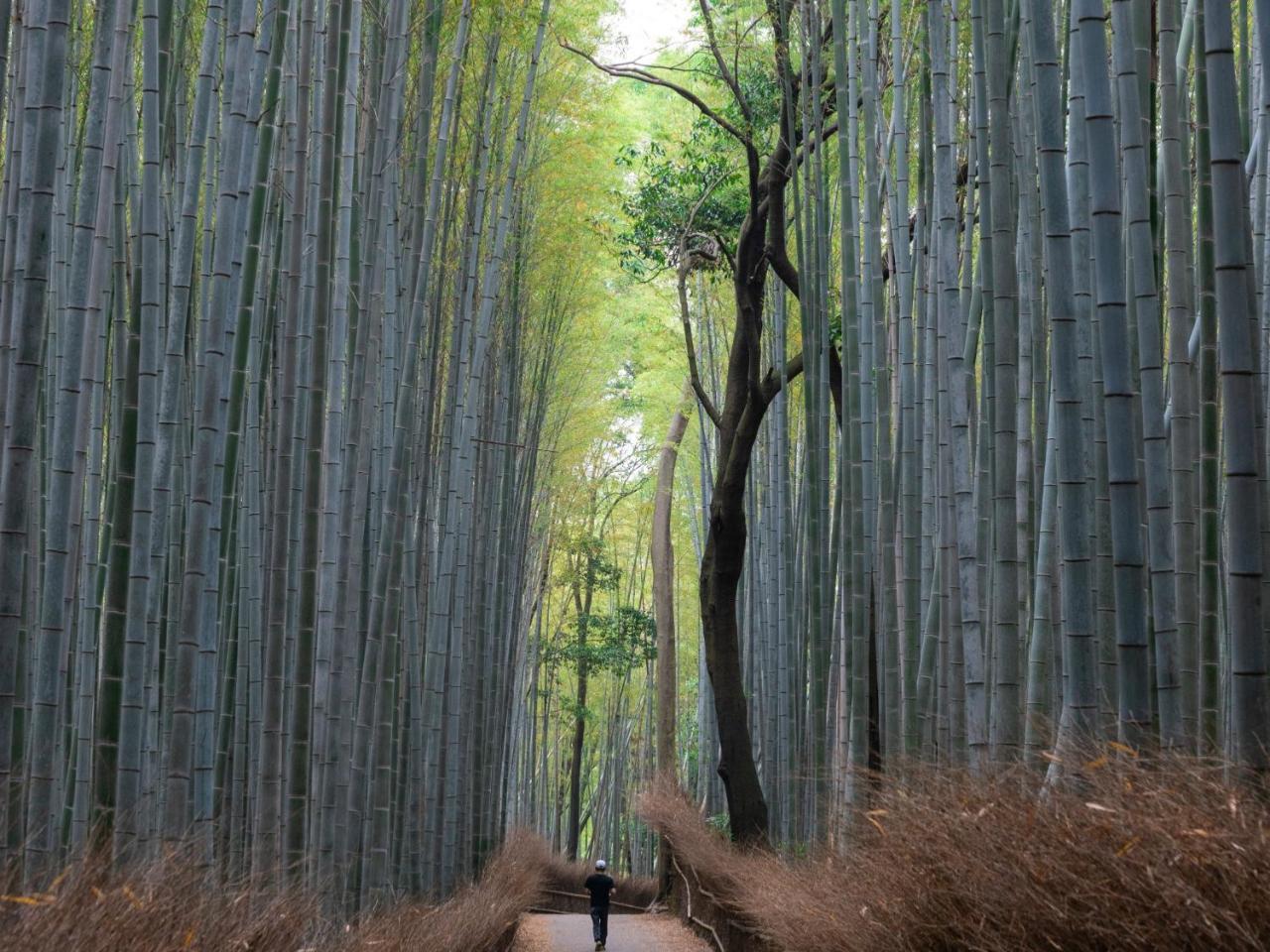 Sumitei Kiyomizu Gojo Hotel Kyoto Bagian luar foto